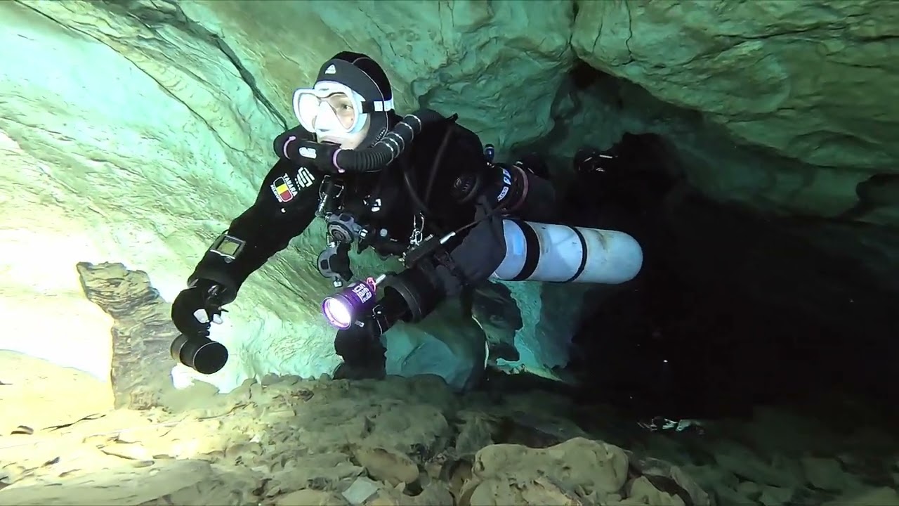 Grotta del fico