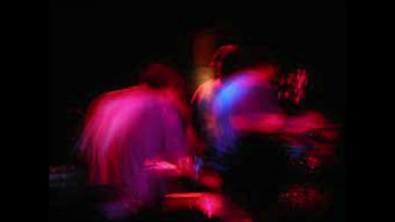 Animal Collective (Live) - 2004-11-02 Le Zoobizarre, France