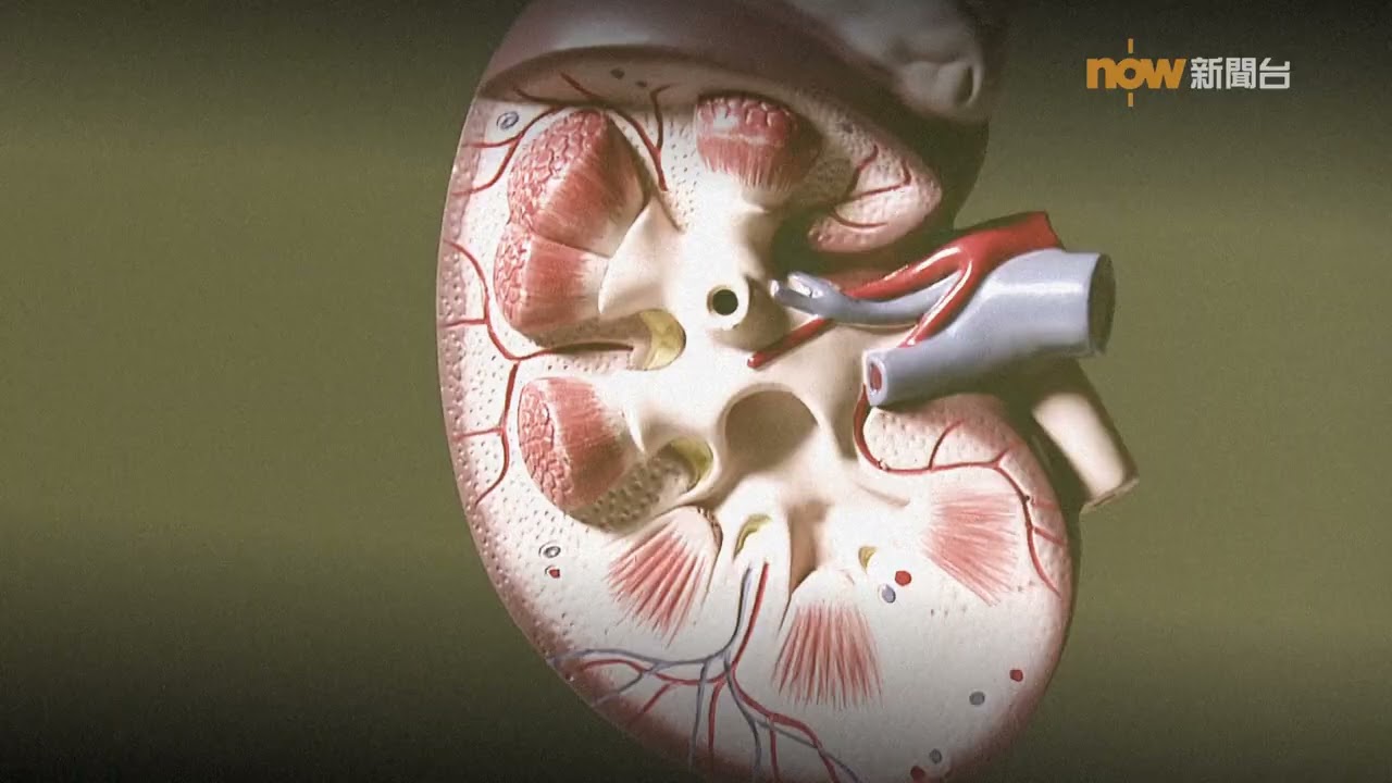 20240816【杏林在線】糖尿「踩界」