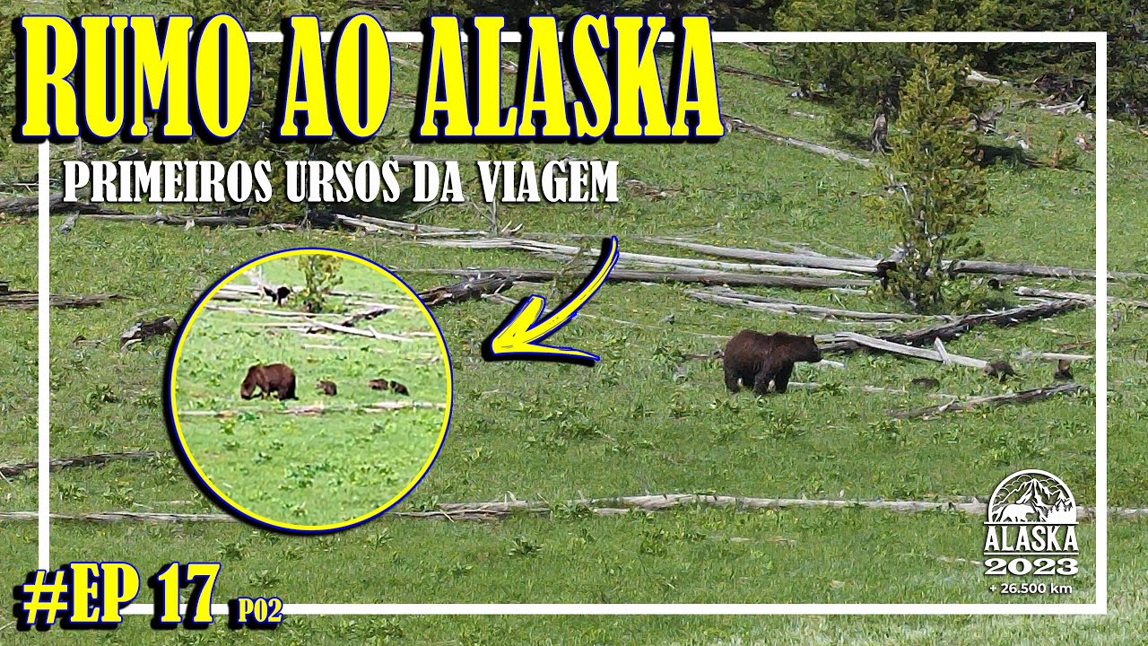 ENCONTRAMOS NOSSO PRIMEIRO URSO - YELLOWSTONE NATIONAL PARK - RUMO AO ALASKA - EP17 - PART 02