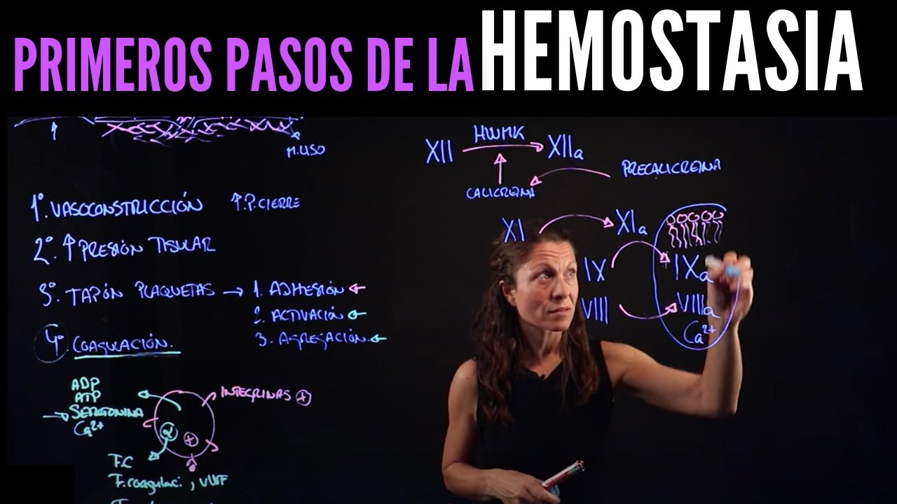 Hemostasia I: Reducción del flujo y tapón plaquetario