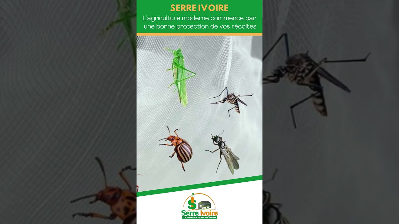 Dites stop aux insectes et aux ravageurs grâce à notre filet anti-insectes. 