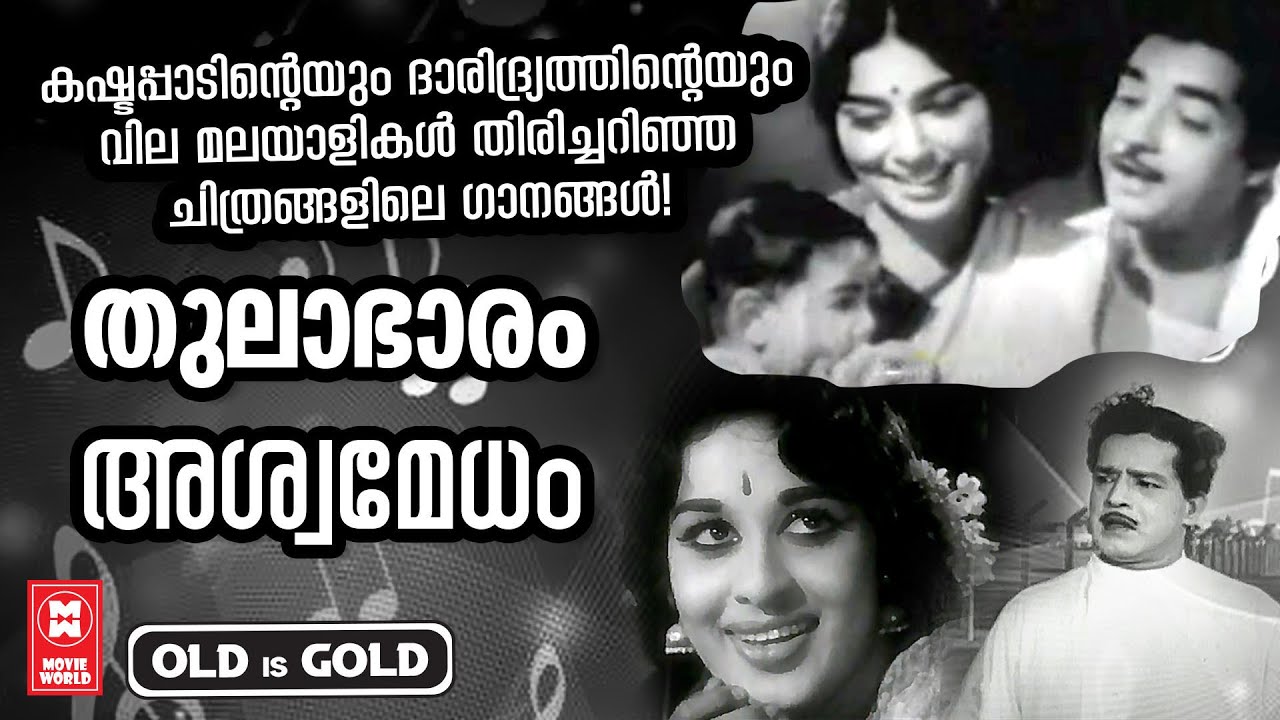 അന്നത്തെ സാമൂഹ്യ പശ്ചാത്തലത്തിന്റെ ചിത്രം വരച്ചു കാട്ടിയ സിനിമകളിലെ ഇന്നും മറക്കാത്ത ഗാനങ്ങൾ !