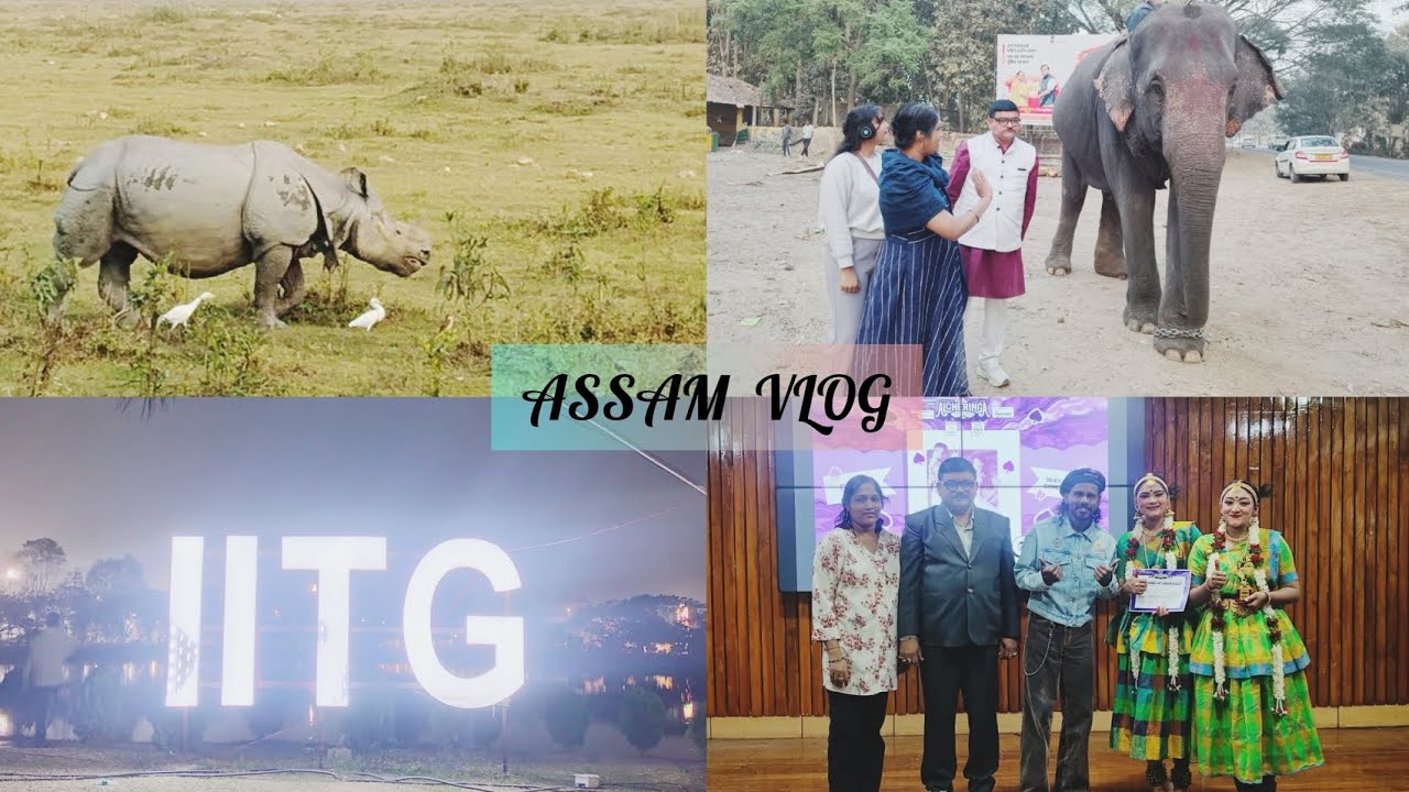 Assam Vlog: Kamakhya Temple, Kaziranga National Park, IIT Guwahati 