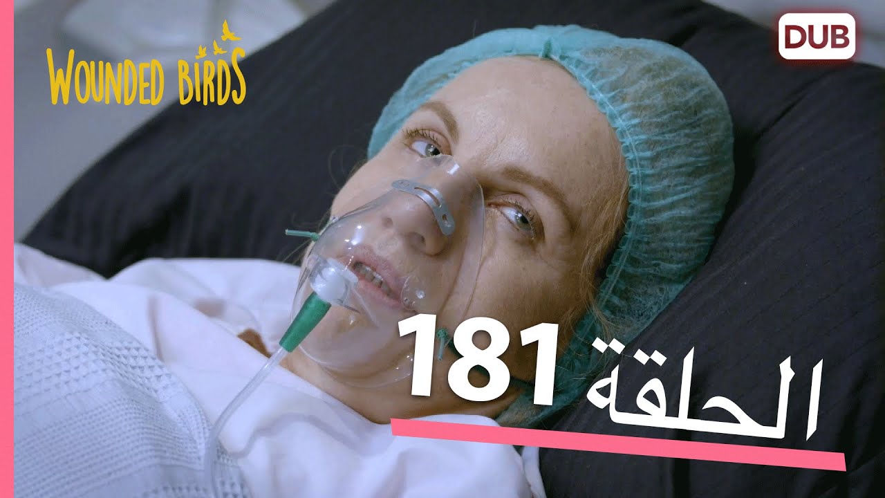 الطيور الجريحة | الحلقة الكاملة 181 |  مدبلج عربي