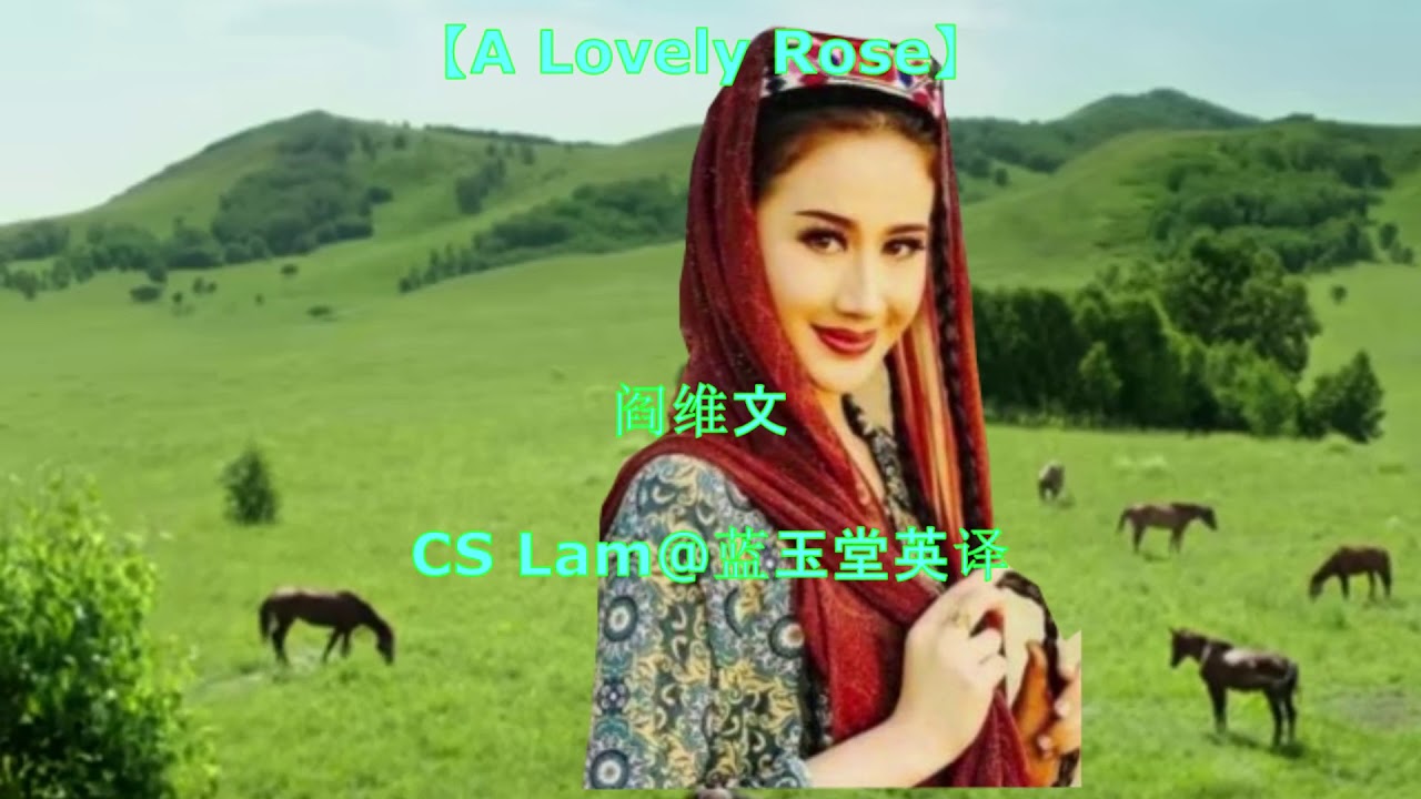 可爱的一朵玫瑰花  A Lovely Rose   阎维文