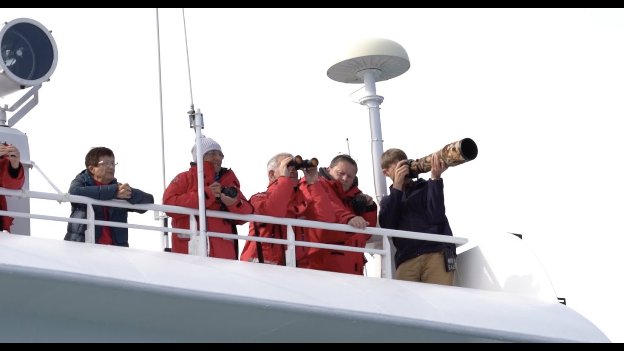 Antarctica Photography Tips