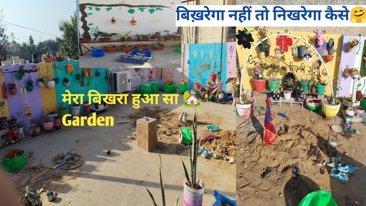 अगर Garden बिख़रेगा नहीं तो निखरेगा कैसे🤗 🪴 | Result Of Hardwork | Gardeningtips