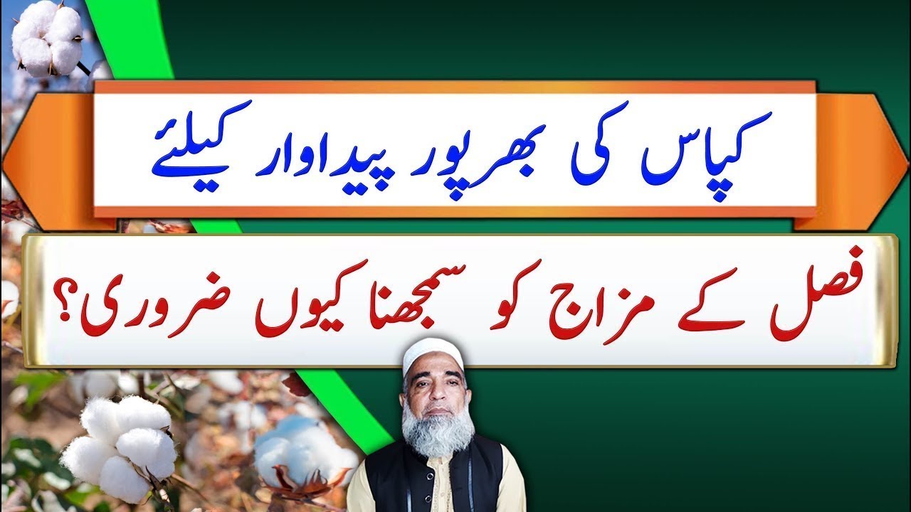 Understanding the behavior of Cotton to get maximum production || Crop Reformer