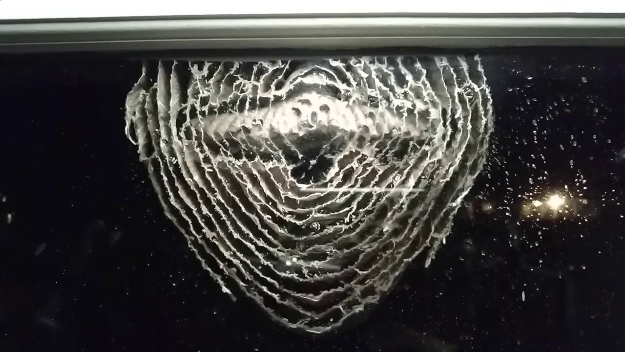 What Happens Inside a Hornet's Nest WHILE You Spray it with Pesticides