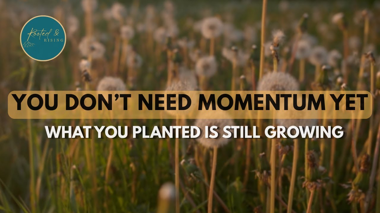 You Don't Need Momentum Yet ┃What You Planted Is Still Growing