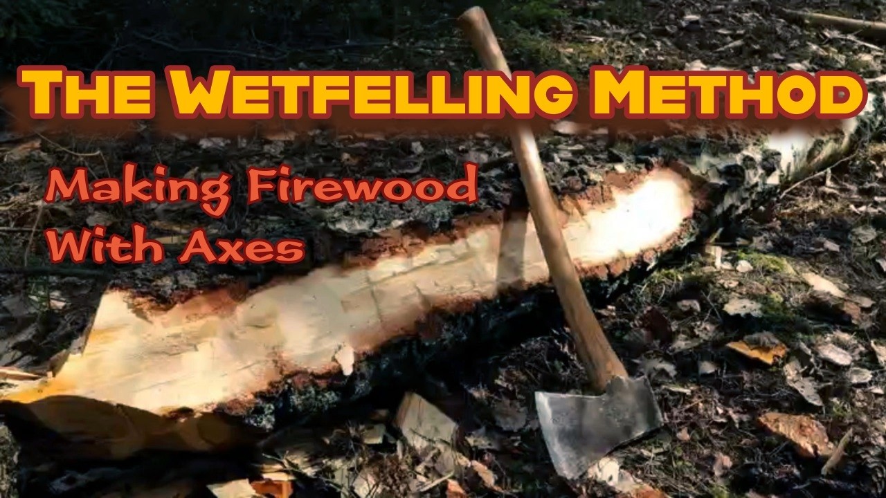 Забытый ТРАДИЦИОННЫЙ СПОСОБ заготовки дров!