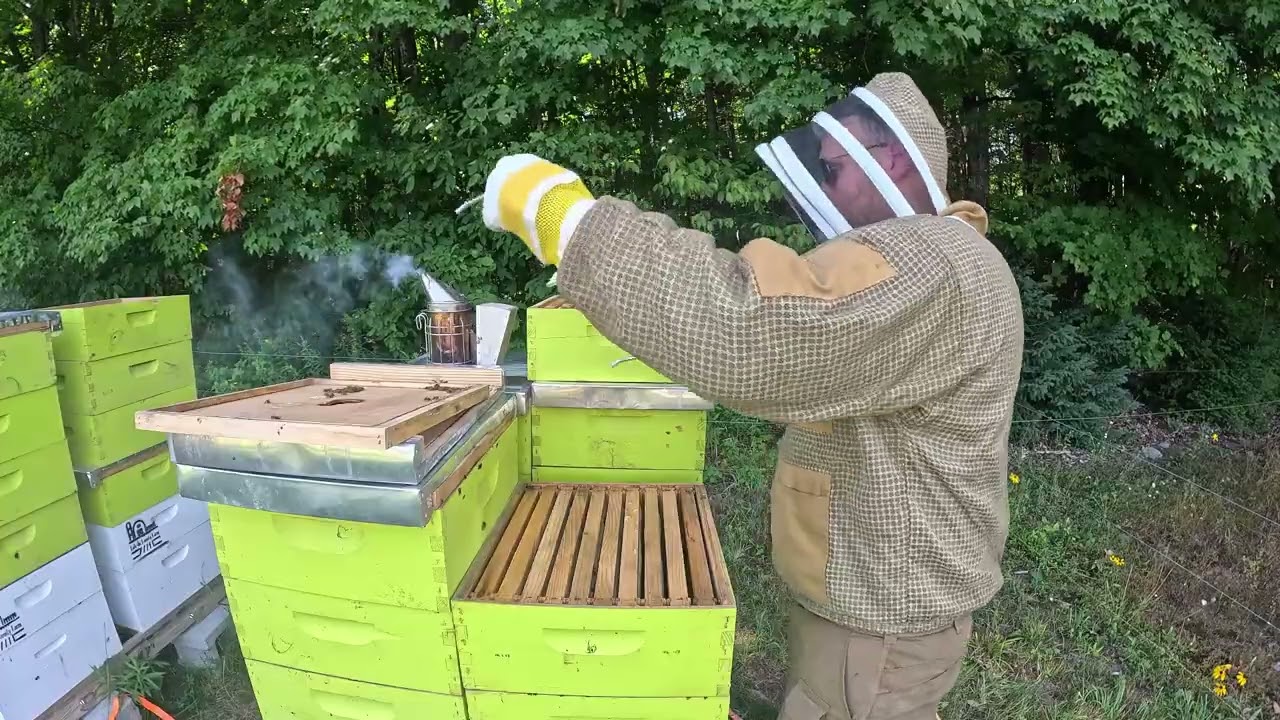 Honey Flow Wrap-Up: Pulling Supers for Extraction