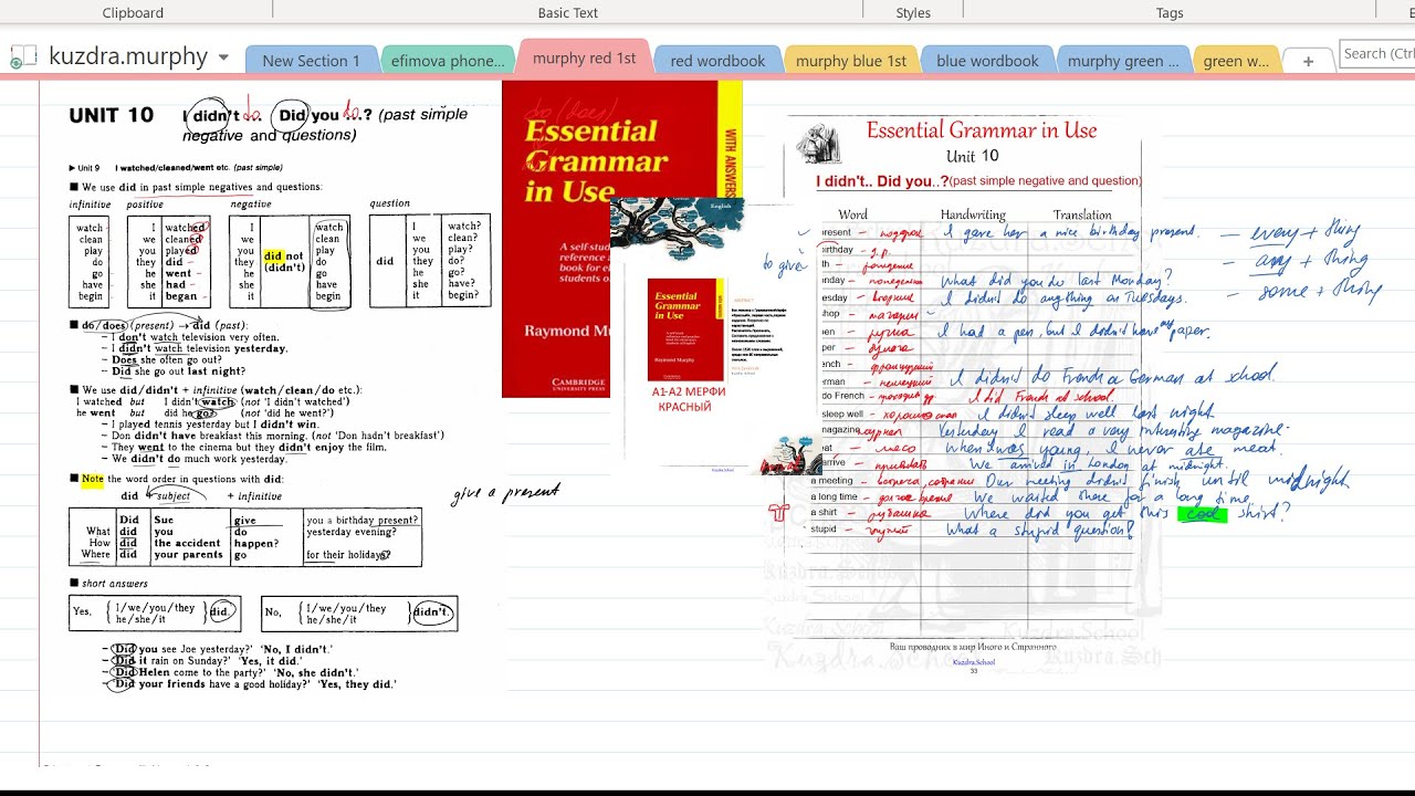 10. Essential Grammar in Use. Unit 10. Past Simple negative & questions +Exercises+Words
