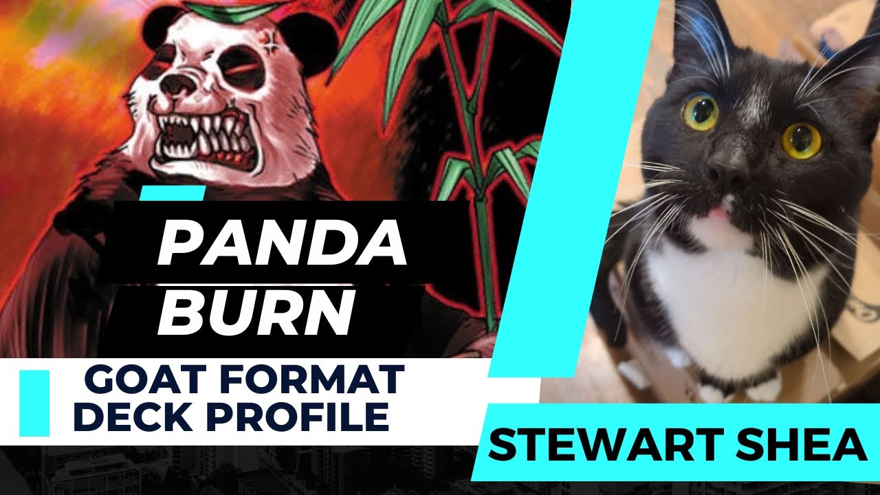 Обзор колоды Panda Burn, занявшей 1-е место в Yu-Gi-Oh! (Чемпионат Кливленда по формату GOAT), 13...
