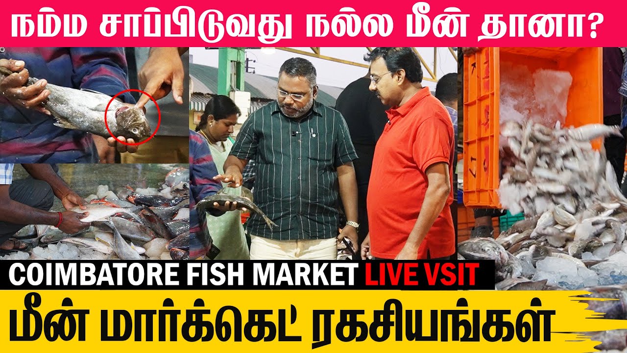 கடலே இல்லாத கோவையில் கடல்ல  இருக்க மீன் எல்லாம் இருக்கு | Coimbatore Ukkadam Wholesale fish market