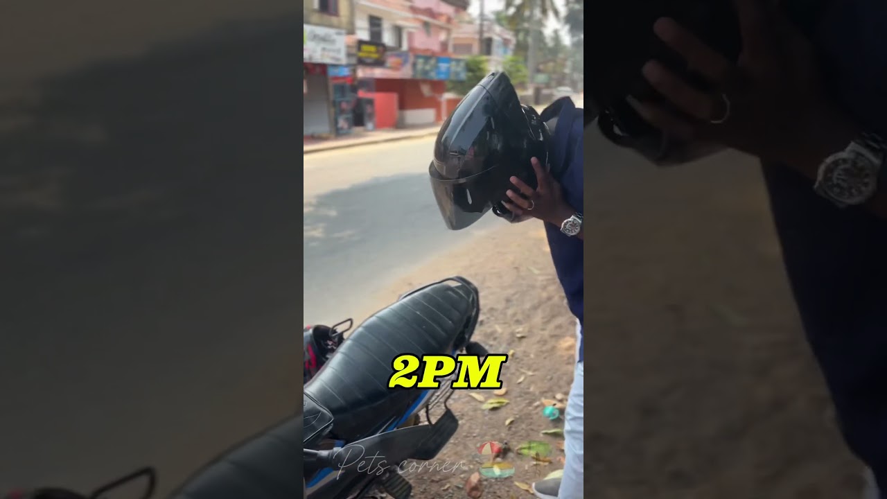 🏖🌊 somehow came to Varkala #trending #tamil #petscorner #varkala #kerala #keralanews #yt