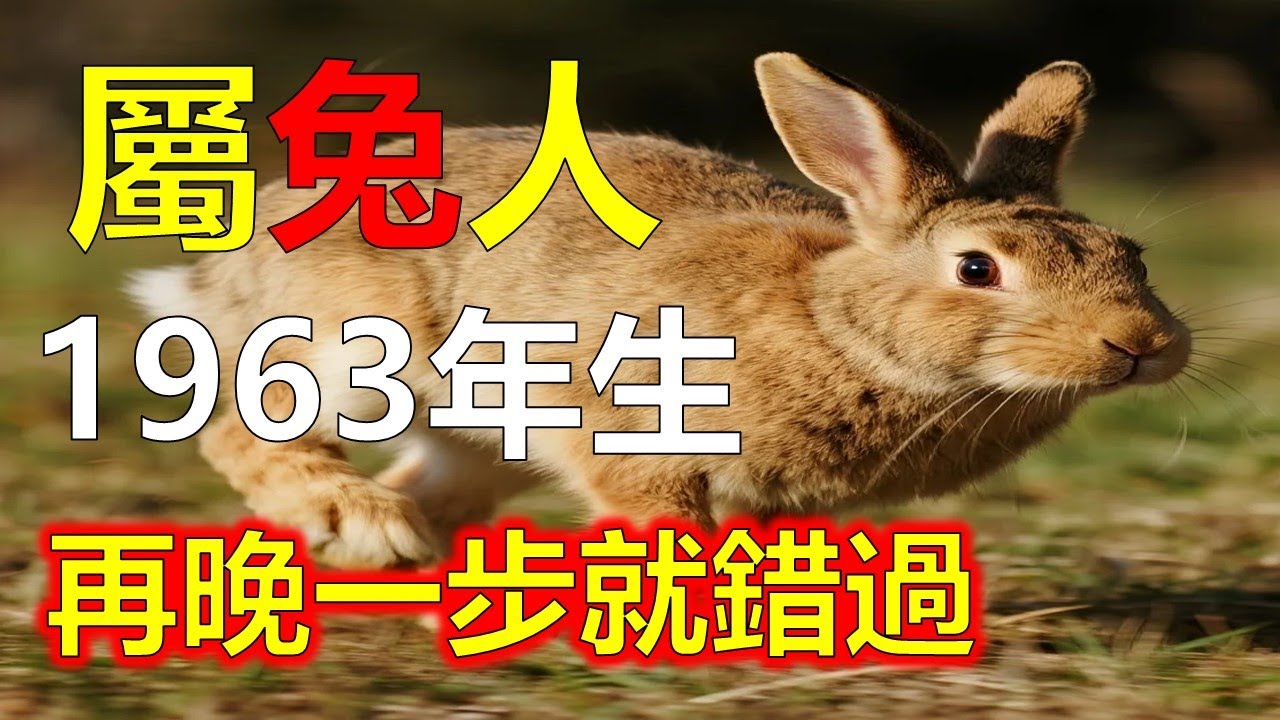 1963年屬兔人，轉運大事正在發生，你失去的會被加倍還回來#2026兔#生肖兔#1963 兔