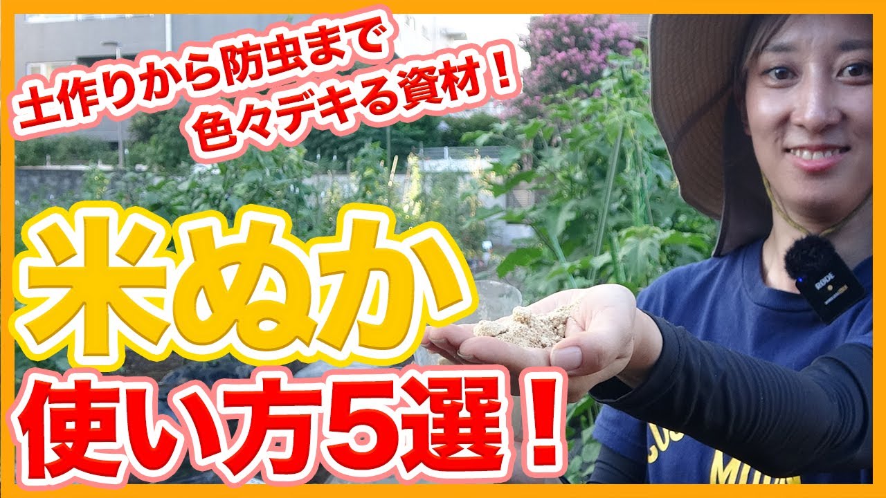 家庭菜園や農園栽培で超便利！米ぬかの使い方５選！土作りから害虫対策まで米ぬかの使い方を徹底解説！/Tips on how to use rice bran from a Japanese farmer