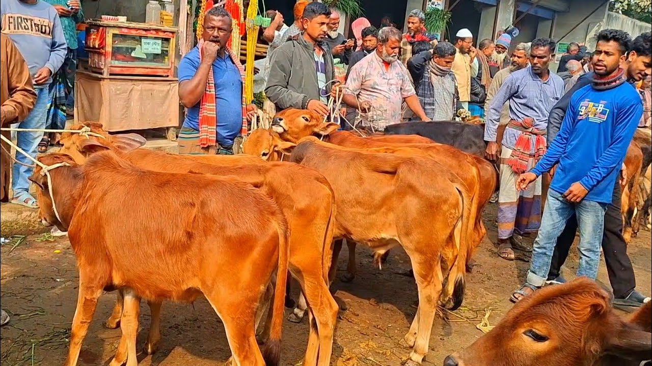 @আজ ২ ফেব্রুয়ারী