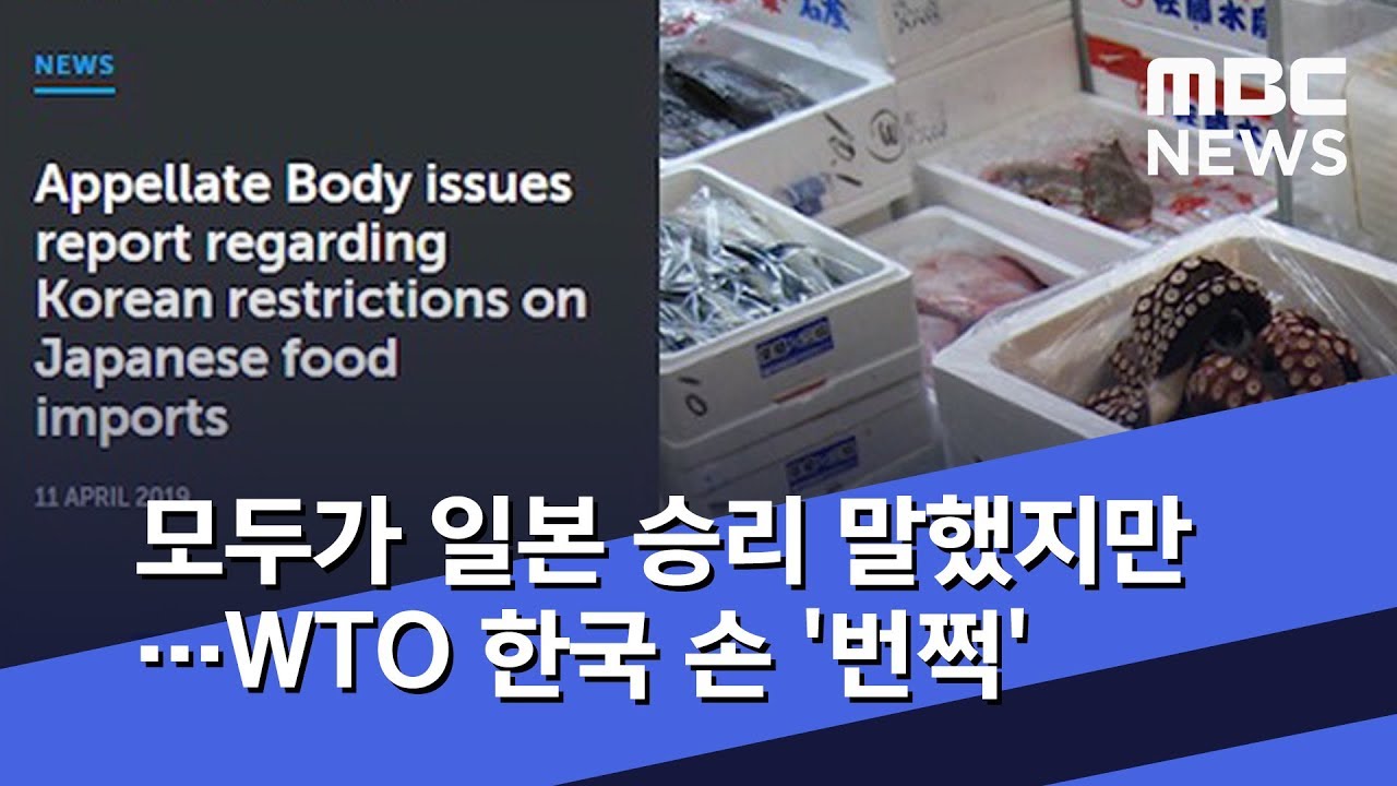 모두가 일본 승리 말했지만…WTO 한국 손 '번쩍' (2019.04.12/뉴스데스크/MBC)
