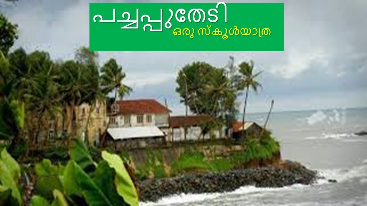 പച്ചപ്പുതേടി ഒരു സ്‌കൂൾയാത്ര /Byju Mathew/GodwinAntonyMorris