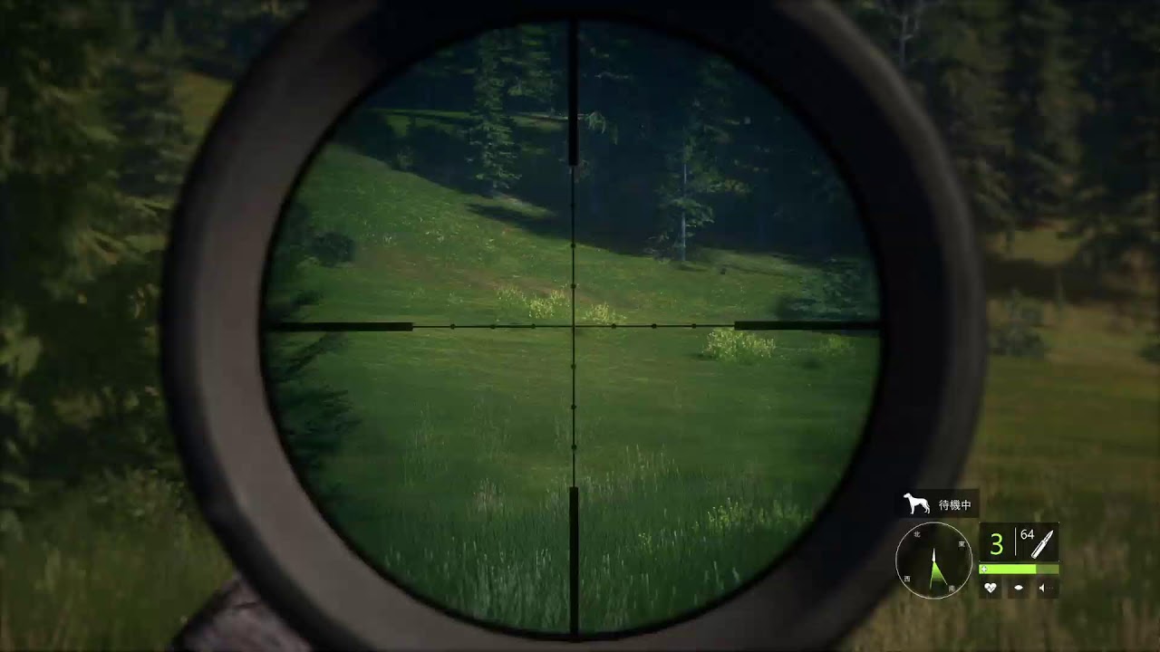 theHunter: Call of the Wildをプレイ