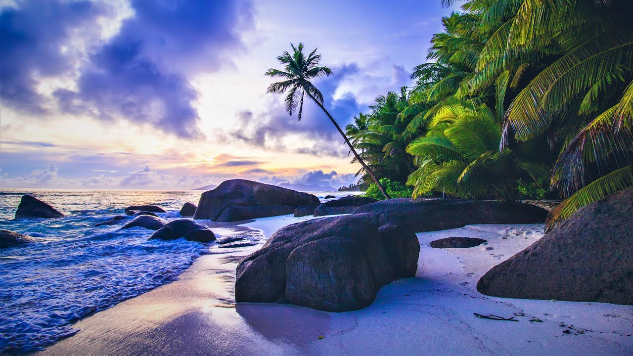 Our moments on Silhouette island