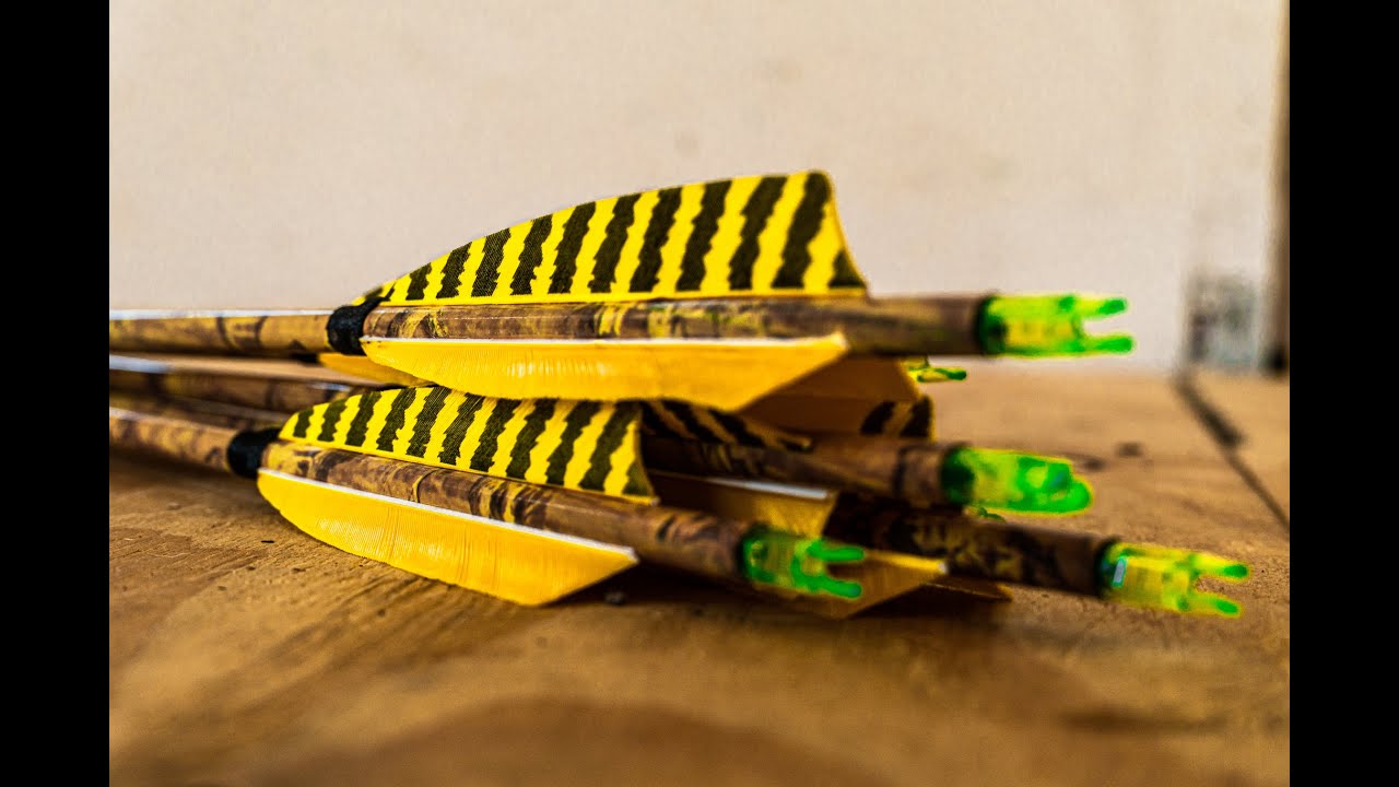 The cheapest Arrows on amazon ($50.00)