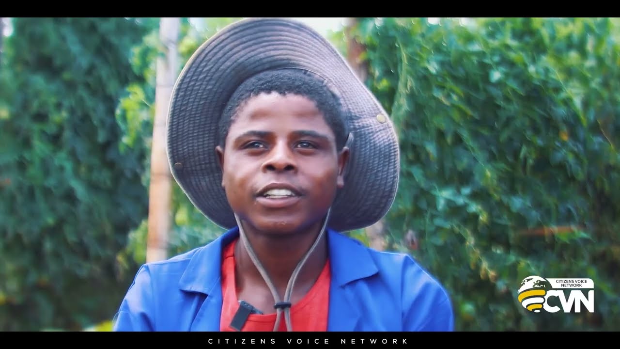 Impressive: Rural (Chikwaka) Based Brothers Making Huge Profits from Tomato Farming.