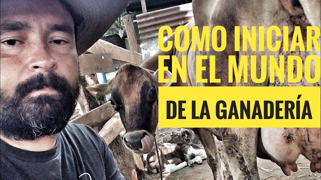 Cómo iniciar en el Mundo de la Ganadería