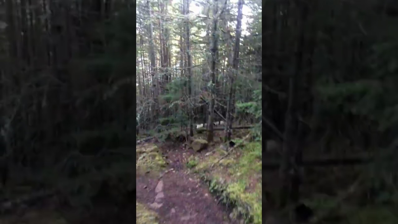 Trail to Tobin Harbor