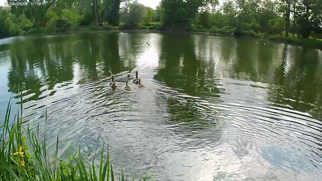 Darenth Long Lake
