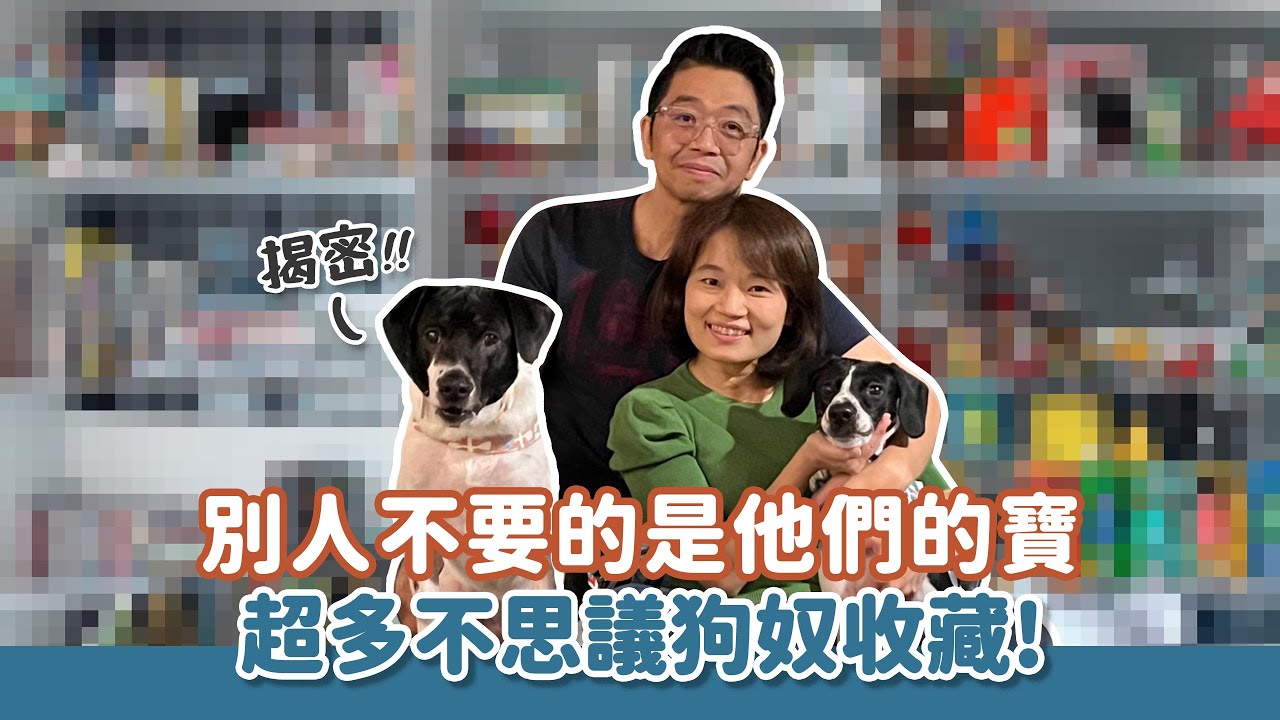 別人不要的是他們的寶？揭密！超多不思議狗奴收藏！｜跟拍浪浪到家
