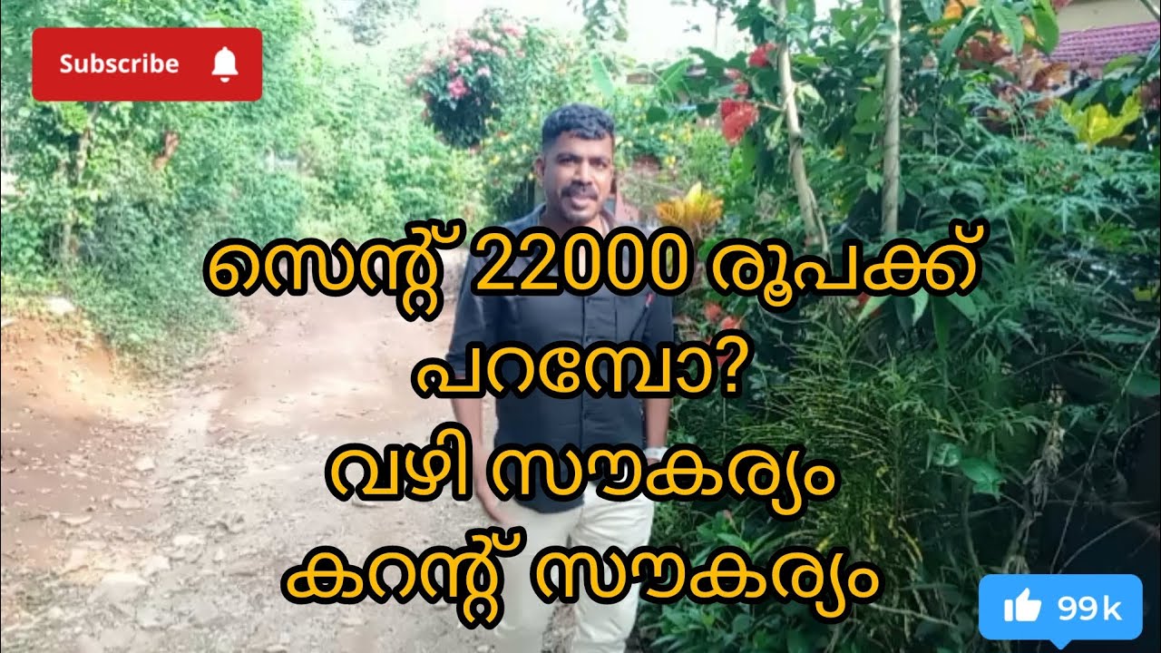 # 40 #പാലക്കാട് ജില്ലയിൽ ഒറ്റപ്പാലത്ത് I സെൻ്റിന് 22000 മാത്രം #lowbudget #പറമ്പ് #realestate