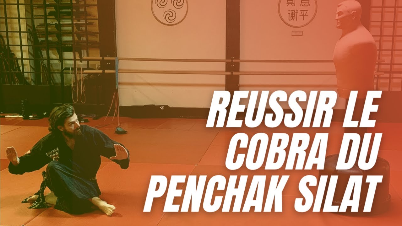 R&eacute;ussir le cobra du Penchak Silat