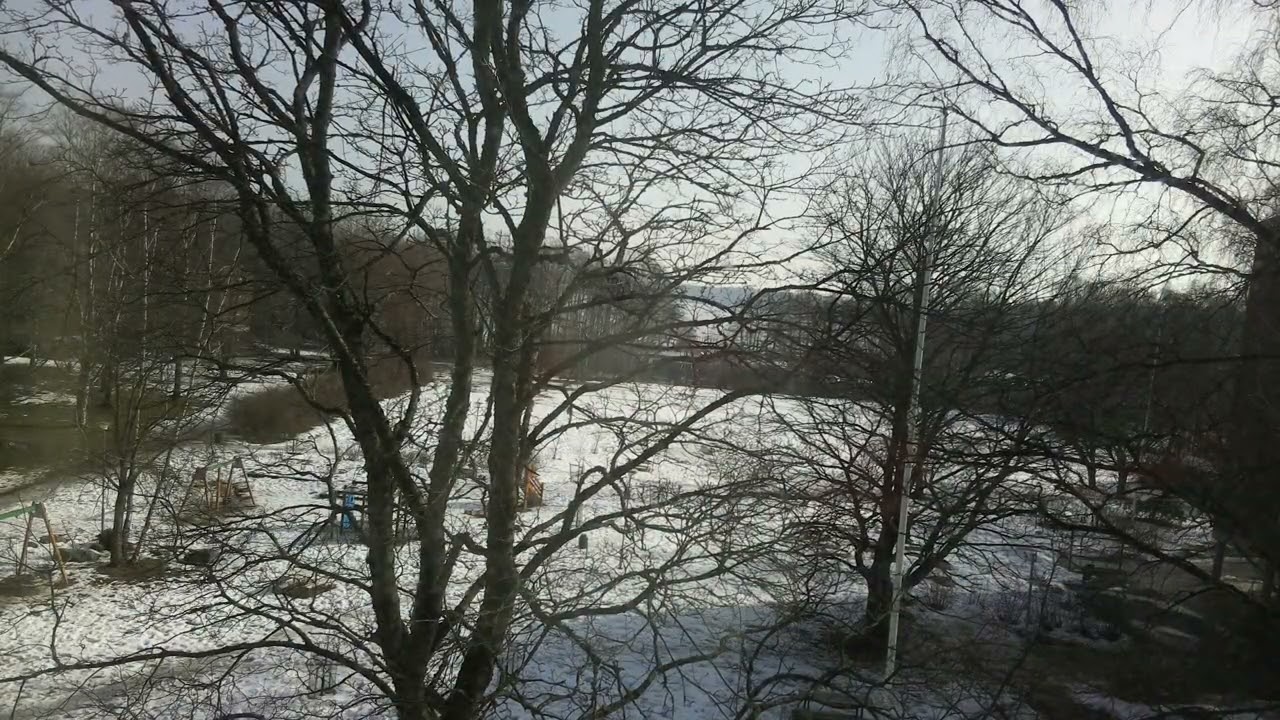 Daily Timelapse Pi0Cam 2026-03-10