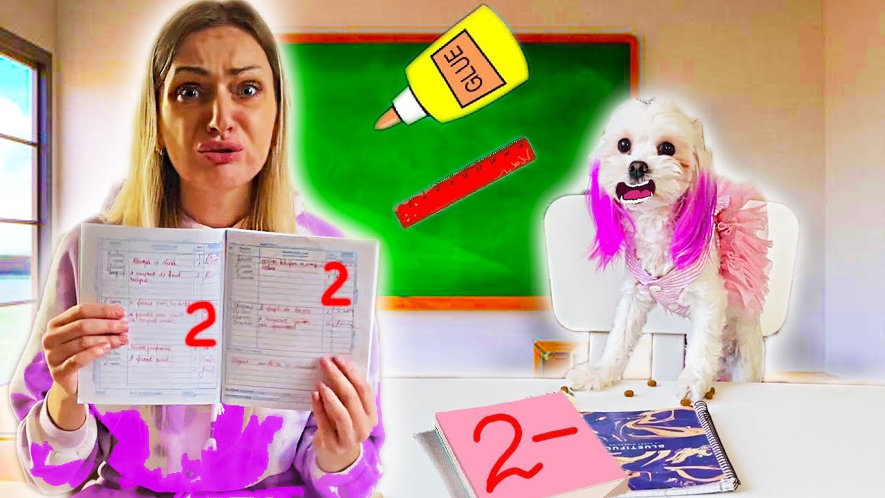 Mimi se &icirc;ntoarce la școală pentru o zi !