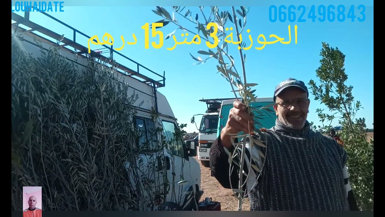 انواع اشجار الزيتون والخروب والاثمنة سوق العطاوية الاسبوعى