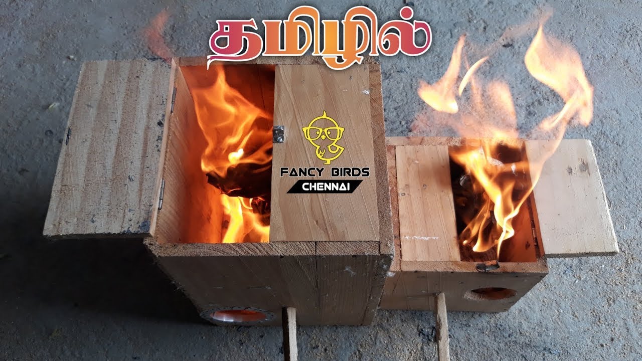 Birds Breeding Box cleaning with🔥FIRE🔥| தமிழில் | #FancyBirdsChennai