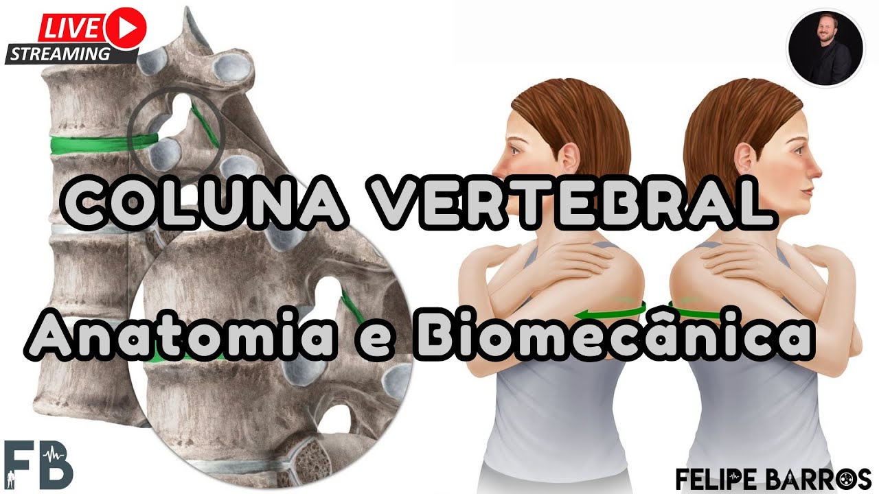 Coluna Vertebral: Anatomia e Biomecânica #aulacompleta  | Prof. Felipe Barros