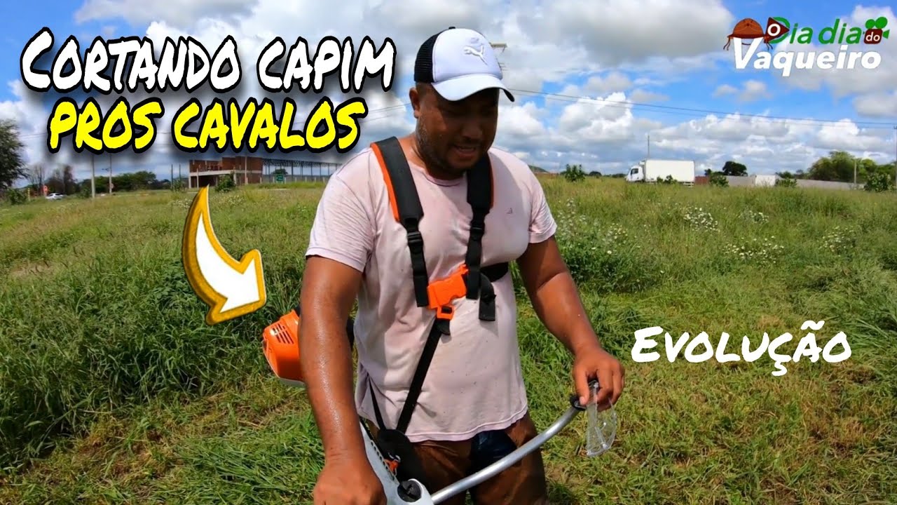 CORTANDO CAPIM PROS MEUS CAVALOS COM A ROÇADEIRA FS STHIL 351 E MOSTRANDO MINHA EVOLUÇÃO CONFIRAM. 