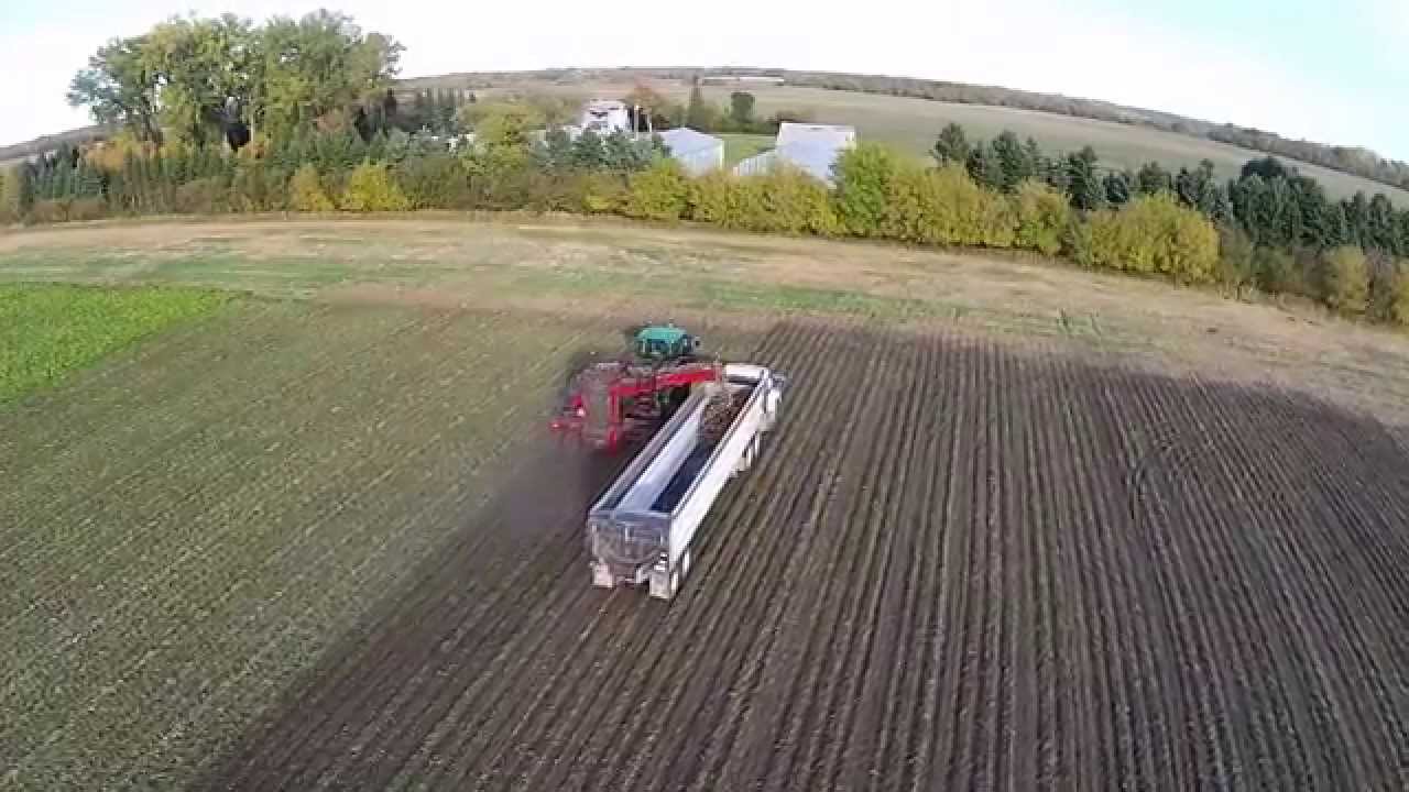 Sugar Beet Harvest in North Dakota