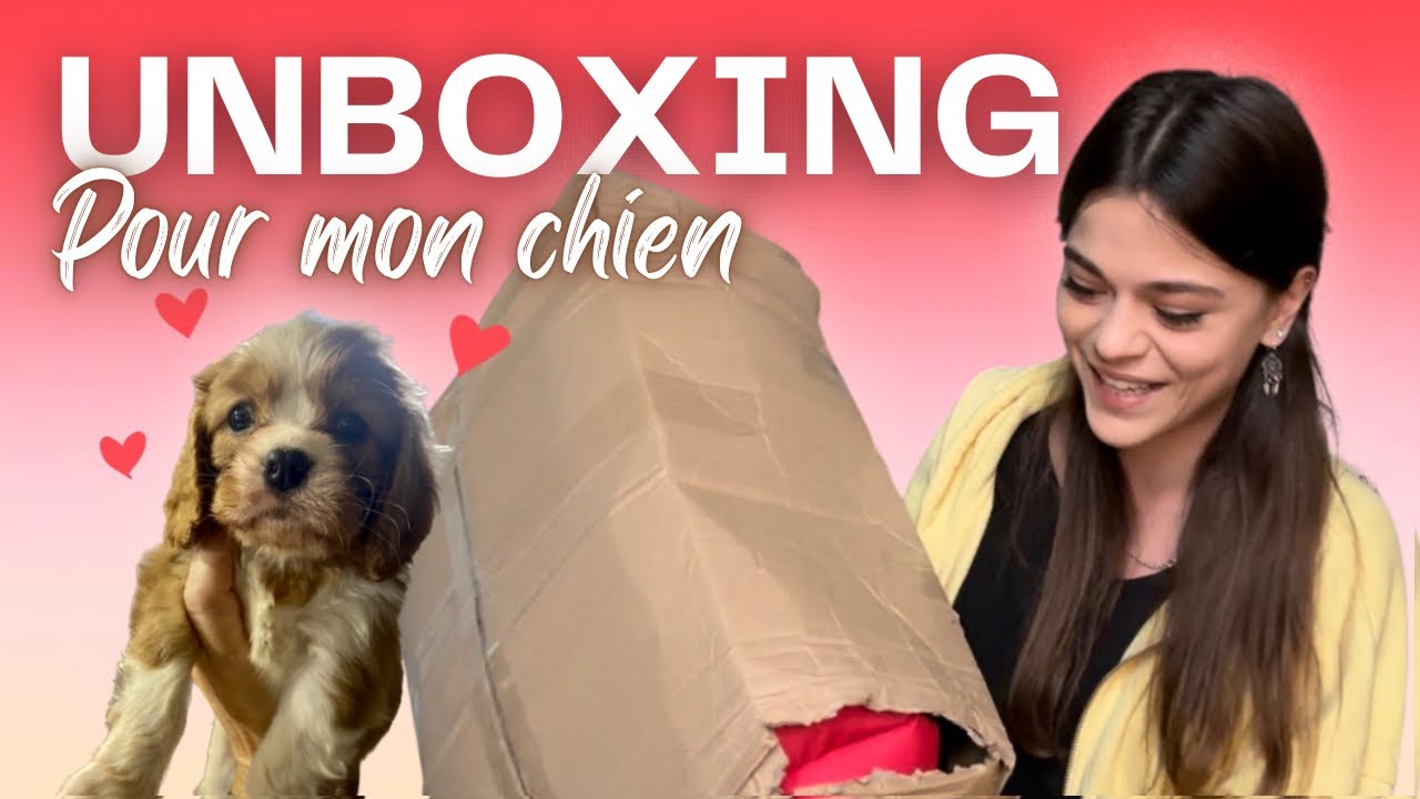 UNBOXING pour l’arrivée de mon CHIOT
