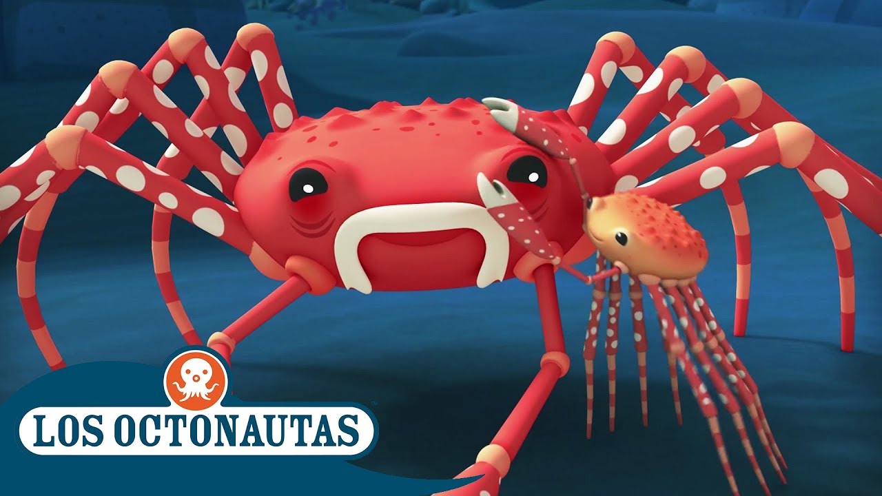 Los Octonautas Oficial en Español - El cangrejo araña gigante