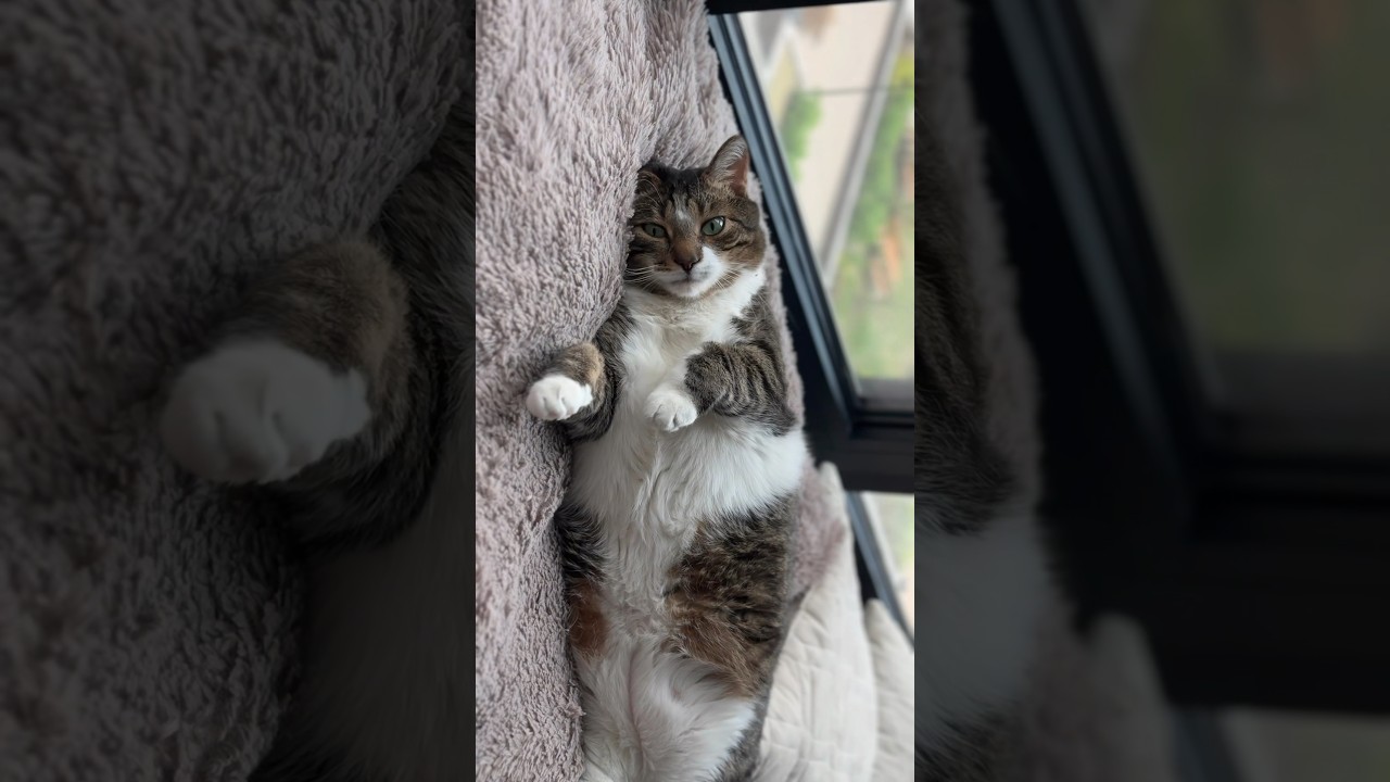 Стоит ли с мужчиной выяснять отношения? Нет! В следуюдем Sh расскажу как доносить  мысль 