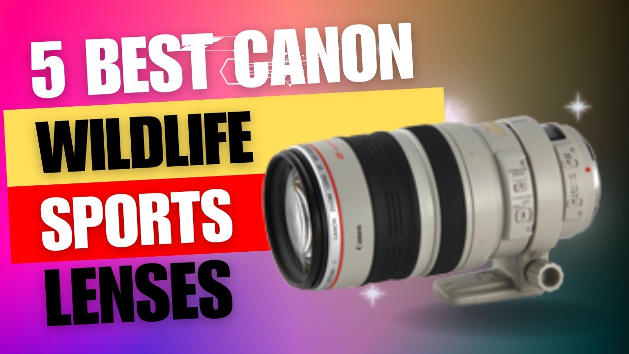 5 Best Canon Lenses For Wildlife Photography 📷💥