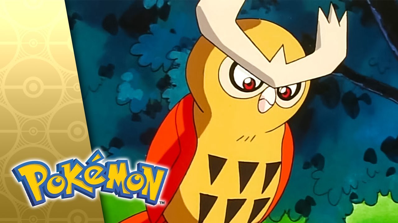 Fowl Play! | POKÉMON FULL EPISODE 38 | Season 3