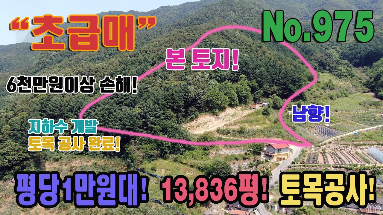 초급매 평당1만원도 안됨 토목공사 지하수 개발 완료 소백산 남향 전 임야 대박 매물 총 45739㎡ 13,836평 전 588평 충북 단양군 대강면 용부원리 토지 매매 임야 급매