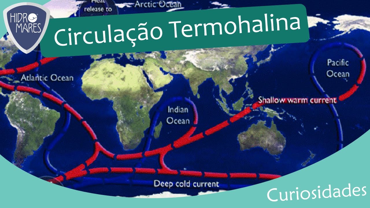 Curiosidades: Circulação Termohalina